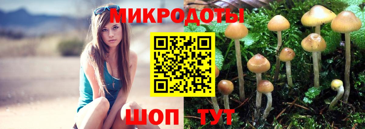 Галлюциногенные грибы GOLDEN TEACHER  Вход с VPN  Псилоцибиновые грибы ЛСД  Фрязино 